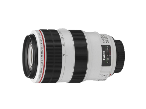 Canon EF 70-300mm f/4-5.6L IS USM.Picture2